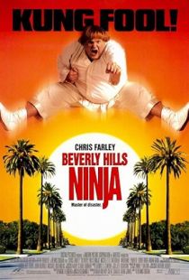 Beverly Hills Ninja (1997) | PiraTop