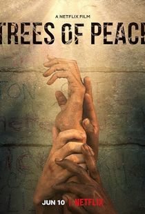 Trees of Peace (2021) | PiraTop