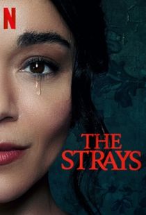 The Strays (2023) | PiraTop